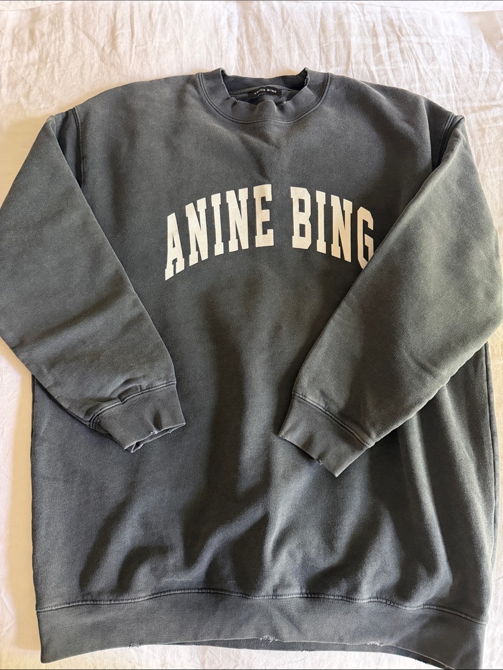 Anine Bing sweatshirt